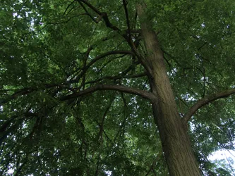 Photo from 15 May 2026
